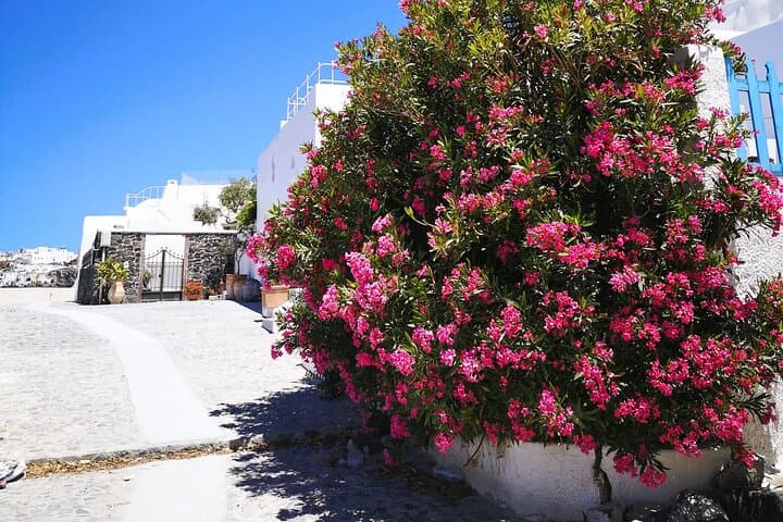 Easy Walks in Santorini: Private Half-Day Oia, Firostefani & Kamari Stroll photo 4