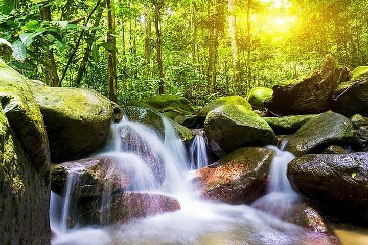 Templer Park & Kanching Waterfall: Jungle Trek and Swimming Pools Near Kuala Lumpur photo 2