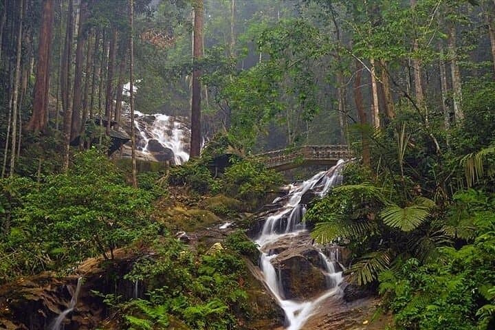 Templer Park & Kanching Waterfall: Jungle Trek and Swimming Pools Near Kuala Lumpur photo 4
