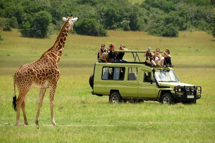2-Day Ngutuni Conservancy Safari From Mombasa: Big Game & Sunrise Drives photo 3