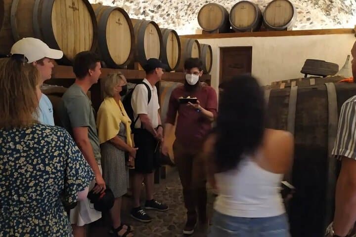 Santorini Wine Tasting: Private Day & Sunset Tour of Three Wineries photo 3