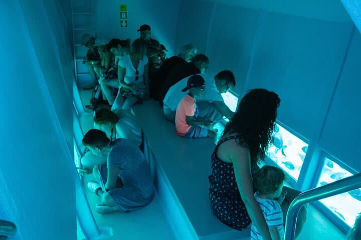 Catamaran to the Medes Islands: Super Underwater Vision from Estartit photo 4