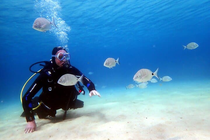 Beginner Scuba Diving in Costa Teguise, Lanzarote — Try a Shore Dive photo 5