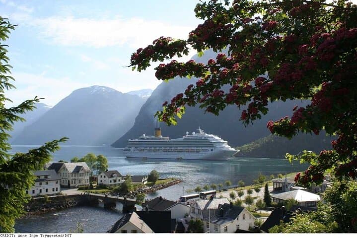 Geiranger from Hellesylt: Dalsnibba & Djupvatn Scenic Bus Tour photo 2