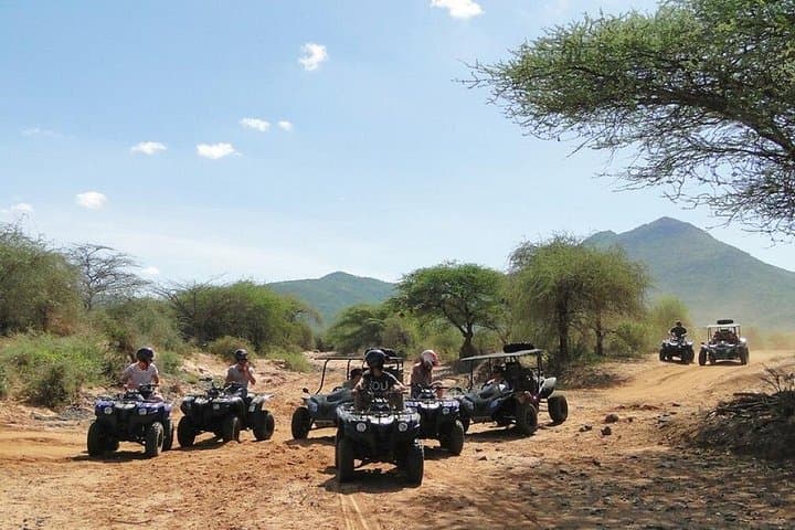 Full-Day Quadbike Safari from Cape Town: Private Big Five Game Reserve Experience photo 1