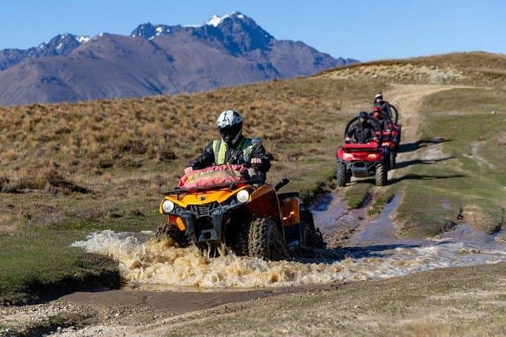 Full-Day Quadbike Safari from Cape Town: Private Big Five Game Reserve Experience photo 4