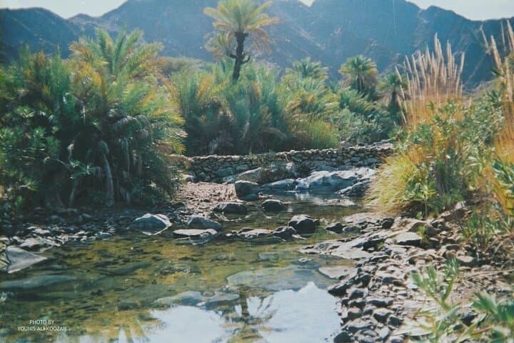 Paradise Valley & Atlas Mountains Day Trip from Agadir — Hikes, Pools & Berber Villages photo 5