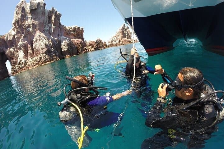 Los Cabos Land's End 1-Tank Dive — Scuba the Sea of Cortez photo 2
