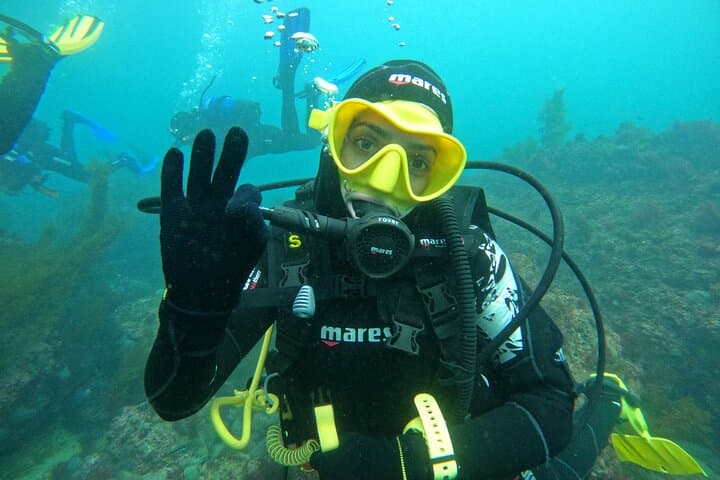 Try Scuba Diving in Arrábida Marine Reserve — Beginner Dives with Photos from Lisbon photo 6