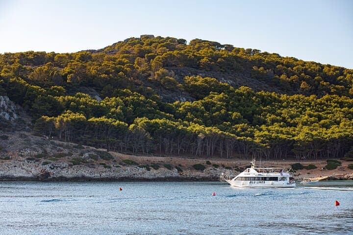 Egadi Islands Boat Tour from Trapani — Full-Day with Lunch photo 3