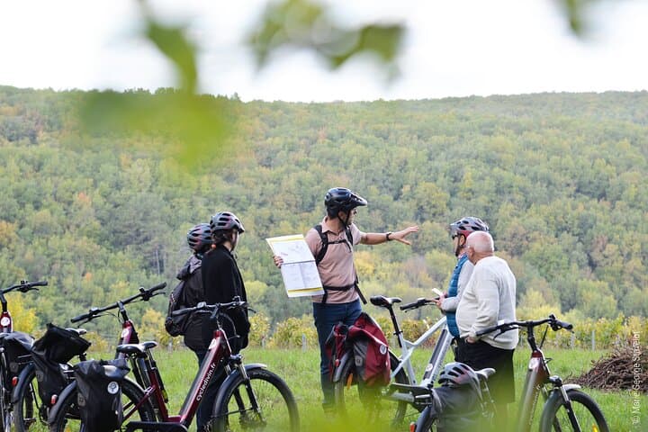 E-bike Through the Chablis Vineyards: Guided 3‑Hour Tour with Tastings photo 3