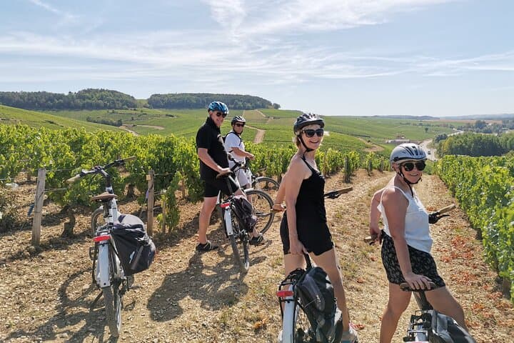 E-bike Through the Chablis Vineyards: Guided 3‑Hour Tour with Tastings photo 5
