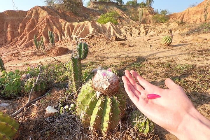 Tatacoa Desert 2-Day Local Experience — Stargazing, Red & Gray Canyons photo 5