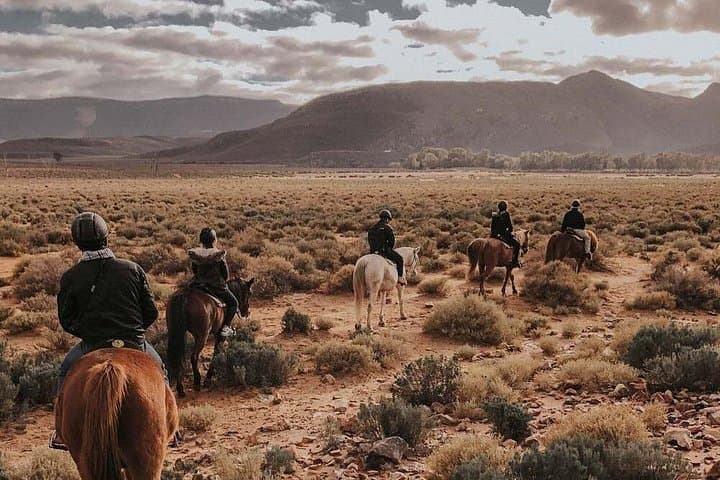Cape Town Full-Day Horseback Safari to Big Five Private Game Reserve photo 4