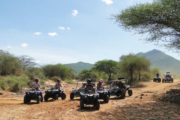 Cape Town Full-Day Horseback Safari to Big Five Private Game Reserve photo 5