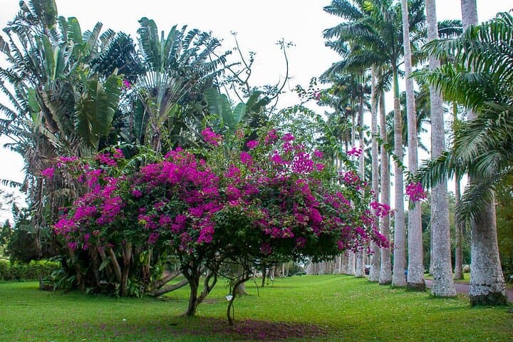 Boti Falls, Aburi Botanical Gardens & Tetteh Quarshie Cocoa Farm Day Tour photo 2