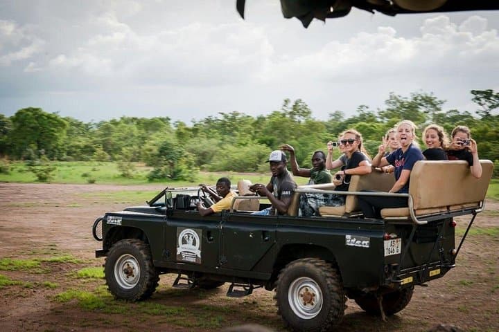 Mole National Park 3-Day Safari: Elephants, Escarpments & Larabanga Mosque photo 4