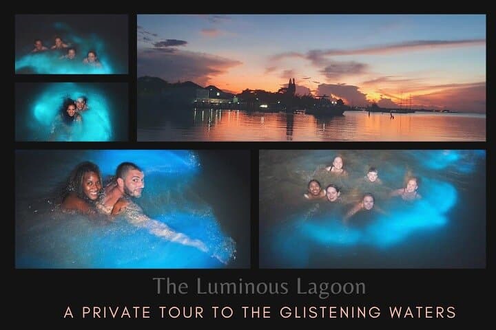 Private Luminous Lagoon (Glistening Waters) Tour from Montego Bay