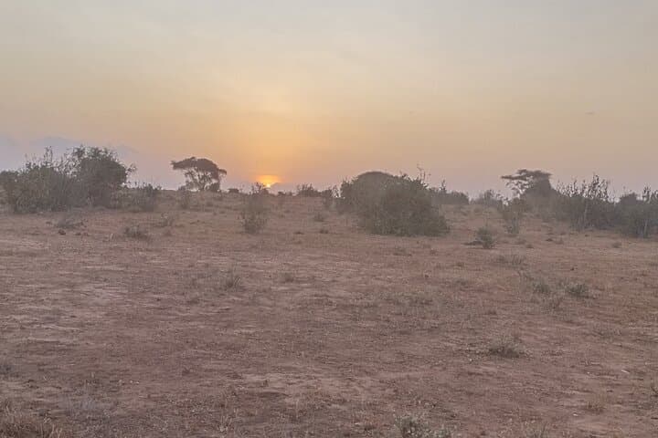3-Day Tsavo East & Taita Hills Safari to Saltlick Lodge from Malindi photo 2