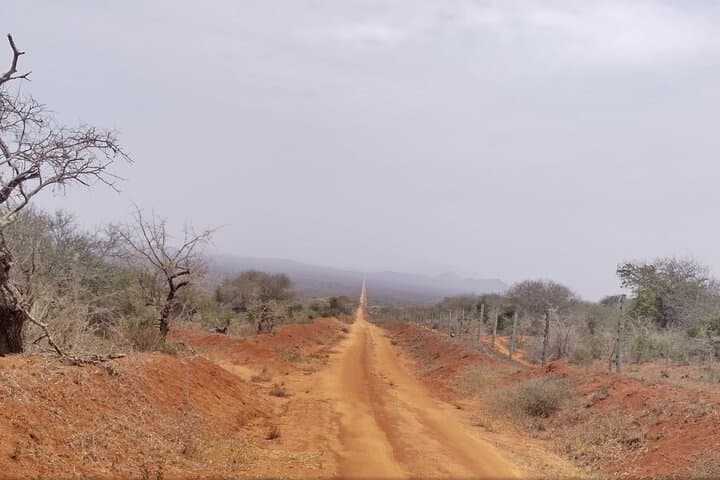 3-Day Tsavo East & Taita Hills Safari to Saltlick Lodge from Malindi photo 3