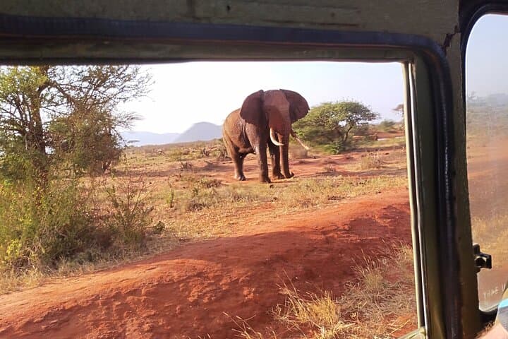 3-Day Tsavo East & Taita Hills Safari to Saltlick Lodge from Malindi photo 5