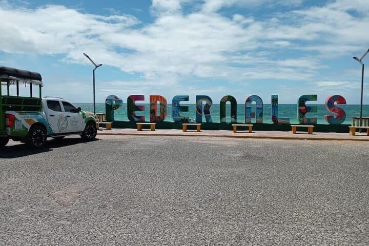 Bahía de las Águilas & Laguna Oviedo: All‑Inclusive Day Trip from Pedernales photo 5