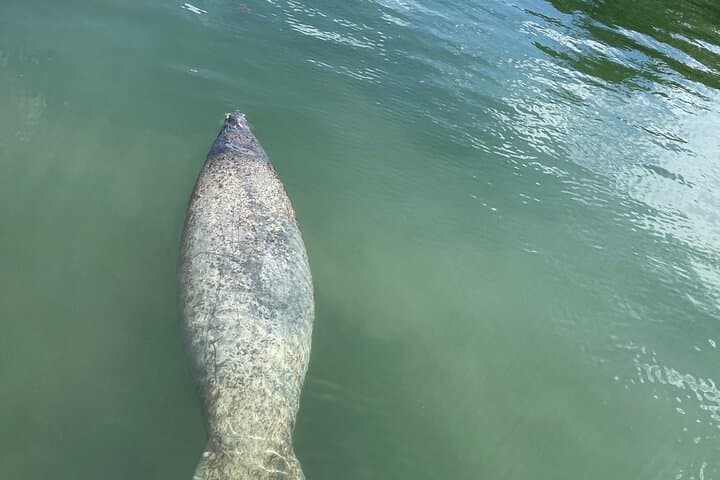 Half-Day Private Boat Charter to Islamorada Sandbar & Lighthouse photo 6