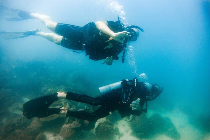 Two Fun Dives in Koh Kood & Koh Rang — Certified Diver Day Trip photo 3