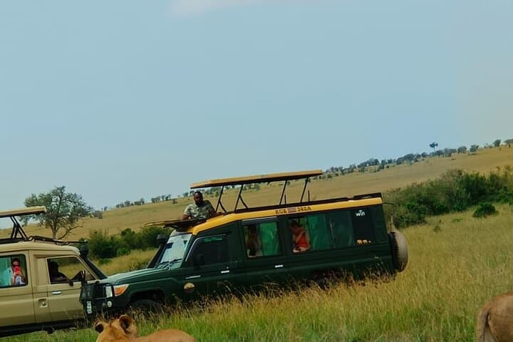 3-Day Tsavo East & Salt Lick Safari from Mombasa — Game Drives, Waterhole Wildlife, and Lodge Stays photo 4