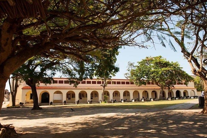 Half-Day Mombasa Tour: Fort Jesus, Old Town & Haller Park Wildlife Encounter photo 4