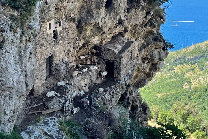 Sentiero degli Dei: Private Path of the Gods Hike from Positano to Nocelle photo 5