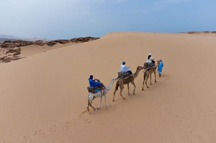 Agadir Sand Dunes Camel Ride in Tifnit with Traditional Berber Lunch