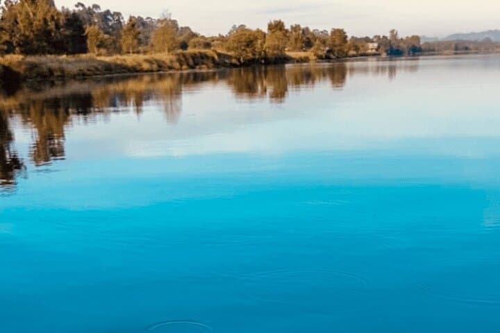 Sunrise SUP on the Lima River: Ponte de Lima to Cabedelo Beach photo 6