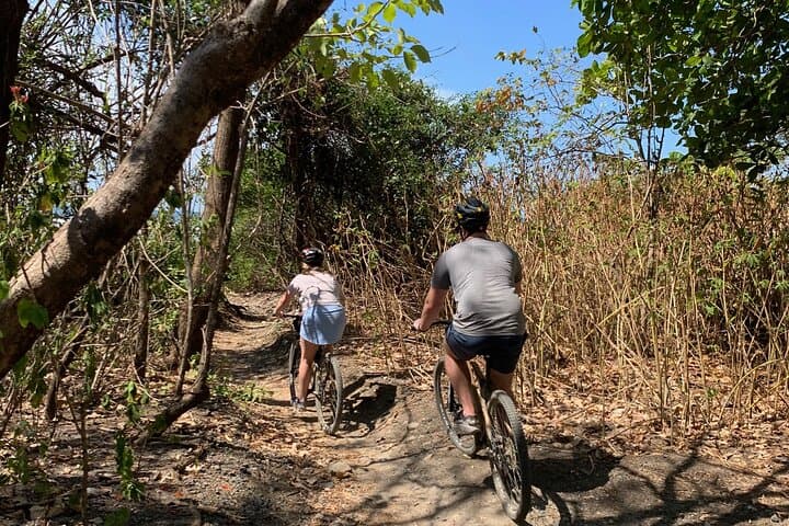 Bamboo Rides: Nosara Cycling Tour — Beaches, Rivers & Hidden Trails photo 6