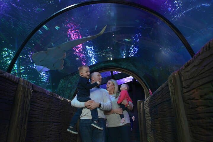 SEA LIFE Blackpool: Explore Sharks, Rays & Seahorses on the Promenade photo 2
