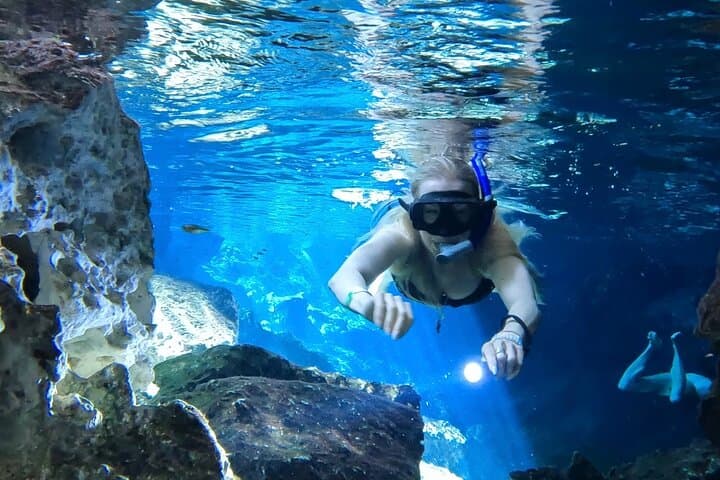 Riviera Maya Private Snorkeling Xpedition: Yal-ku Lagoon, Cenotes & Coral Reef
