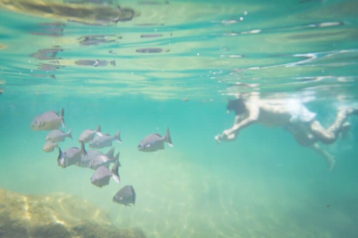 Riviera Maya Private Snorkeling Xpedition: Yal-ku Lagoon, Cenotes & Coral Reef photo 6