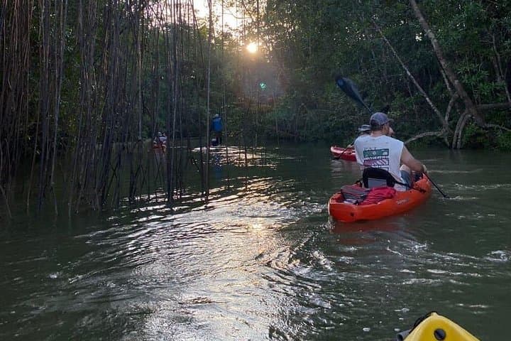 Paddle the Manuel Antonio Mangroves: Kayak Wildlife Tour from Quepos photo 2