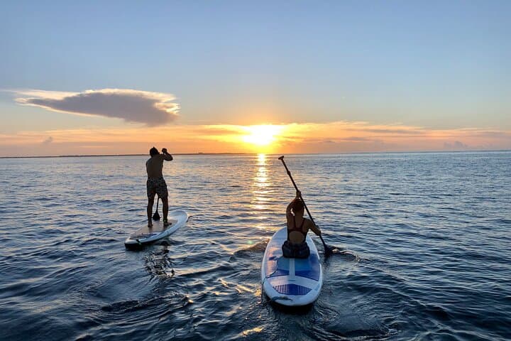 Sunrise Stand Up Paddle in Cancun — Private SUP Lesson on a Sargassum-Free Beach photo 5
