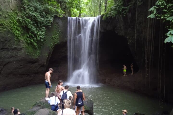 Ubud Temples & Waterfall Private Tour — Tegalalang, Goa Gajah & Suwat photo 3