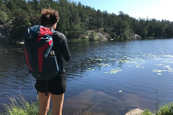 Forest Bathing and Healing Spring Water Near Stockholm photo 5
