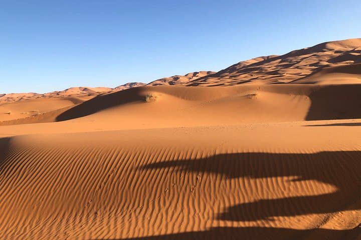 Three-Day Marrakech to Merzouga Desert Tour: Camel Treks, Dunes & Kasbahs photo 4