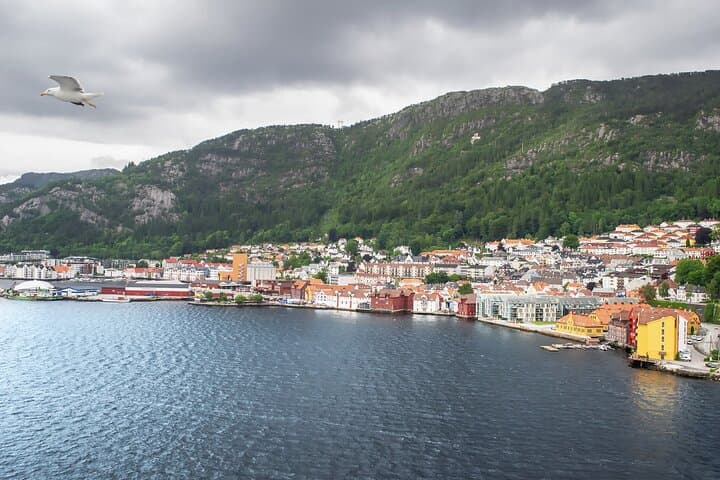 Private Transfer From Oslo to Bergen with 2-Hour Drammen Stop