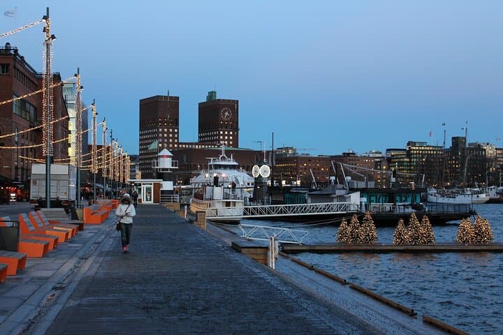Private Transfer from Geilo to Oslo with a 2-Hour Stop in Drammen photo 3