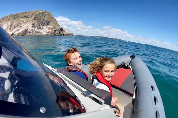 Private Coastal Boat Tour Torquay — Dolphin Watching, Seals & Hidden Coves