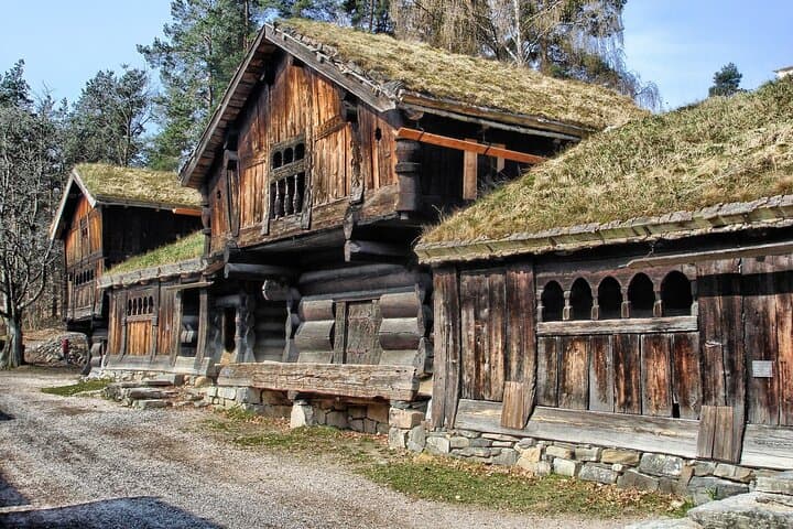 Scenic Private Transfer from Bergen to Oslo with a 2-Hour Drammen Stop