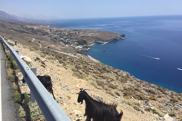 Cretan Road Trip: From the North Mountains to the South Beaches photo 3