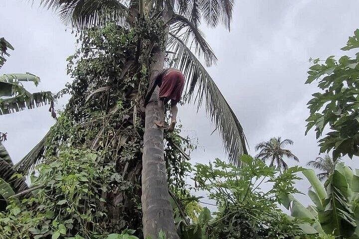 Banana Plantation and Black Sand Beach Experience — Santiago Island Day Tour photo 3