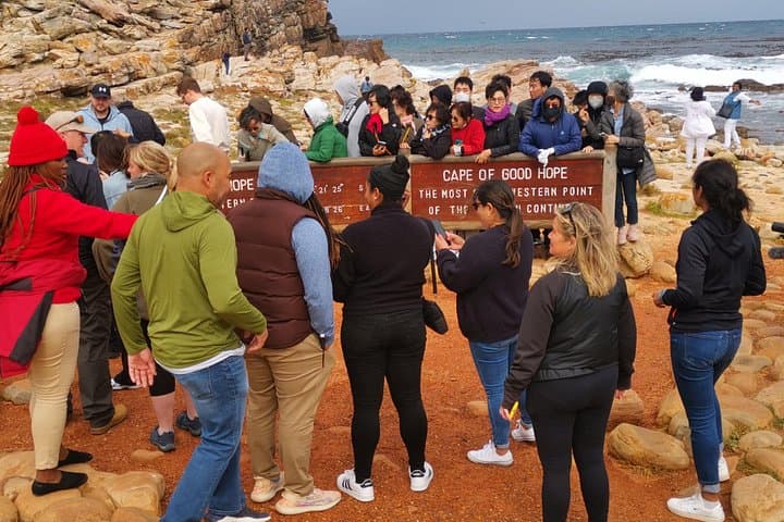 cape-of-good-hope-boulders-beach-full-day-private-tour-cape-town photo 3