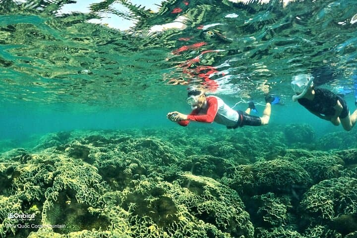 Phu Quoc Pro-Snorkeling: Small-Group Trips to Hidden Coral Reefs photo 5